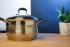 Arshia Stainless Steel Casserole pot 24cm