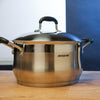 Arshia Stainless Steel Casserole pot 24cm