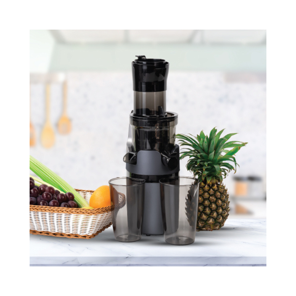 Arshia Slow Juicer