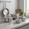 Arshia 9-Piece Stainless Steel Cookware with satin-finish lid