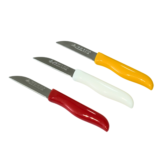 Arshia 12-Piece Stainless Steel Fruit Knife Set – 71mm | Compact & Portable