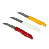 Arshia 12-Piece Stainless Steel Fruit Knife Set – 71mm | Compact & Portable