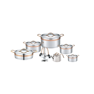 Arshia Stainless Steel Cookware Set 16Pcs Rose Gold