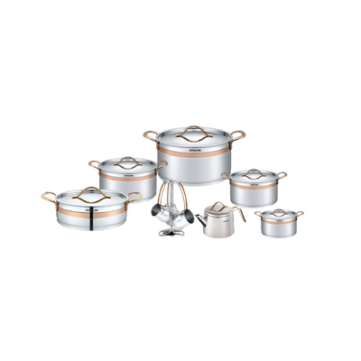 Arshia Stainless Steel Cookware Set 16Pcs Rose Gold