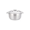 Arshia 9-Piece Stainless Steel Cookware with satin-finish lid